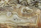 Polished Crazy Lace Agate Section - Mexico #228113-1